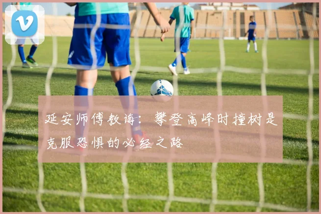 延安师傅教诲：攀登高峰时撞树是克服恐惧的必经之路