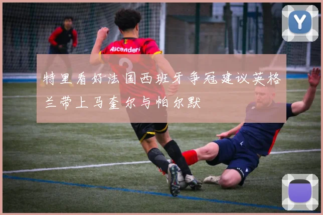 特里看好法国西班牙争冠建议英格兰带上马奎尔与帕尔默